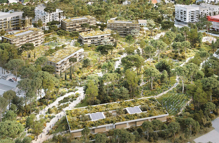 Antibes : bientôt une FORET URBAINE AU COMBES